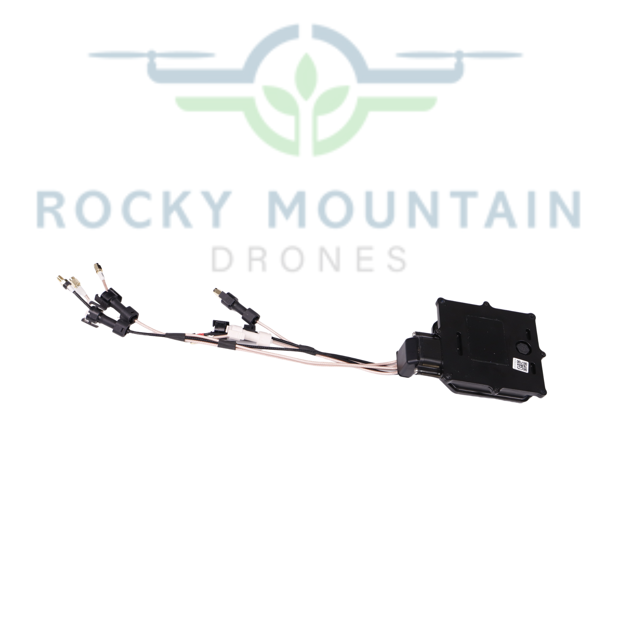 BC.AG.SS000675.01