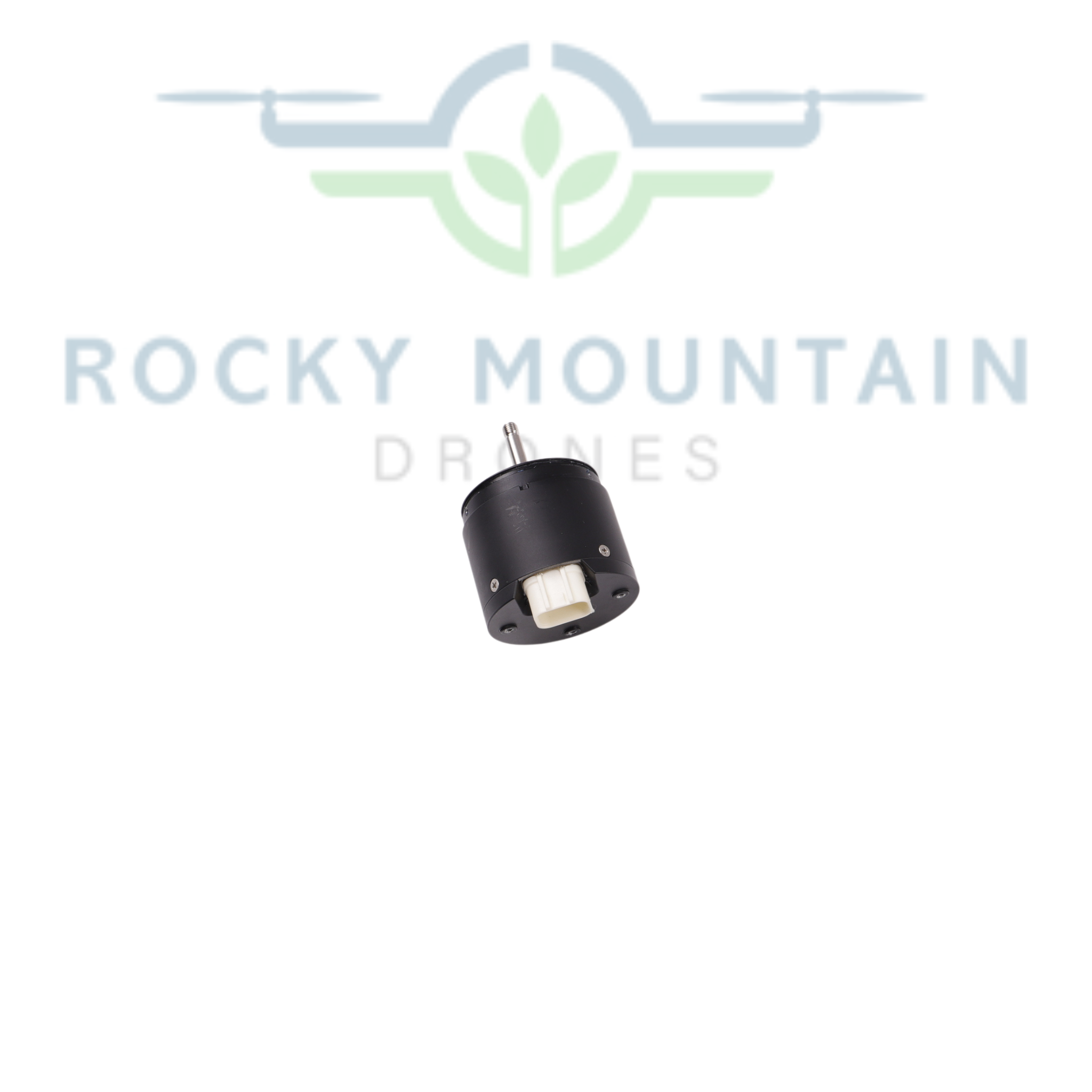 BC.AG.SS000565.02